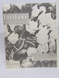 Koliandr, E., Koliandrová, T., Tulipány, 0