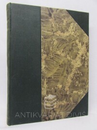 Pittnerová, Vlasta, Pro sirotka, 1904