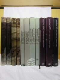 kolektiv, autorů, Dějiny českého výtvarného umění I 1-2, II 1-2, III 1-2, IV 1-2, V, VI 1-2, 2007