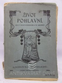 Schönenberger, F., Siegert, W., Život pohlavní, 1904