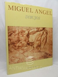 Preiss, Pavel, Miguel Angel: Dibujos, 1982