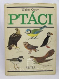 Černý, Walter, Ptáci, 1980