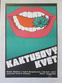 Čivrná, Olga, Kaktusový květ, 1976