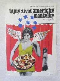 Duchoň, Josef, Tajný život americké manželky, 1970