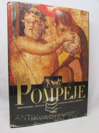 Panetta, Marisa Ranieri, Pompeje: Historie, život a umění zmizelého města, 2005