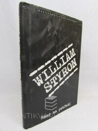 Styron, William, Ráno na pobřeží, 1995