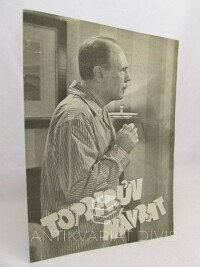 kolektiv, autorů, Topperův návrat, 0